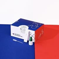 ХЕЛИКОБАКТЕР (АНТИТЕЛА)