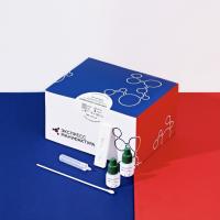 СТРЕПТОКОКК А (АНТИГЕН)